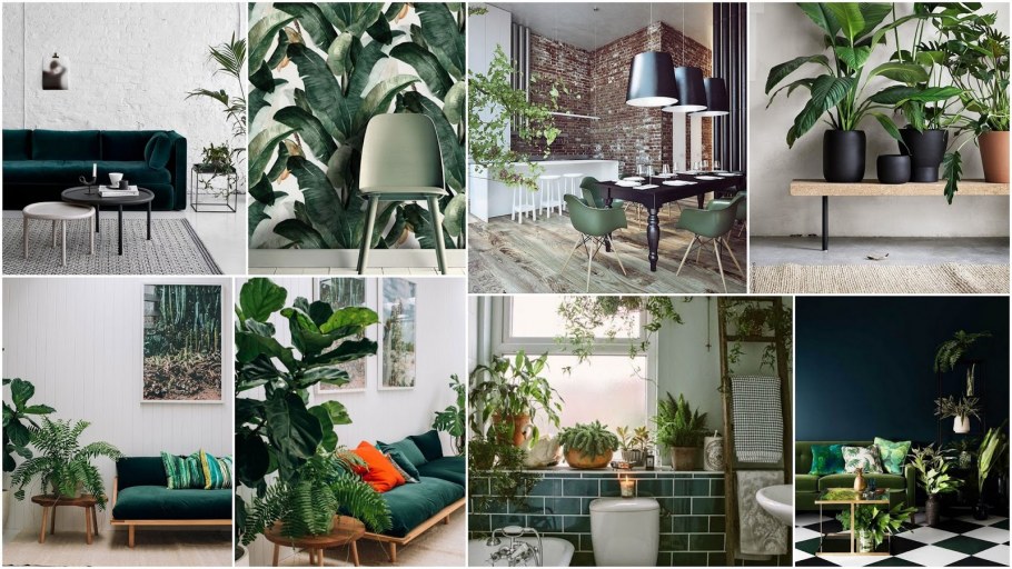 Городские джунгли цветы в интерьере