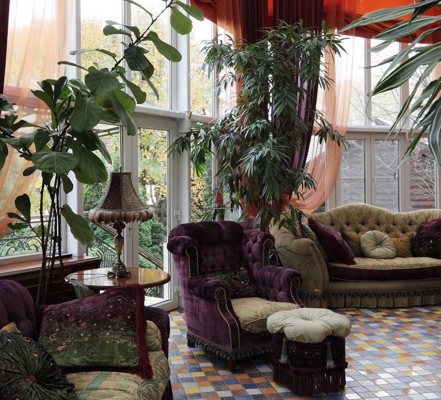 Комнатные растения в доме