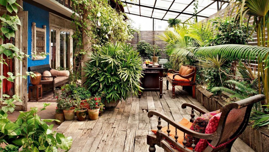 Растения на террасе