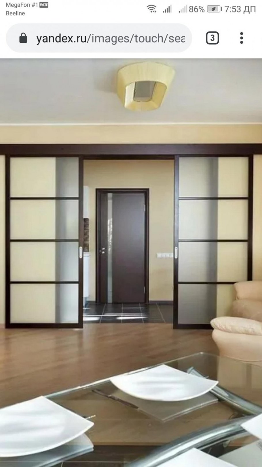 Раздвижные двери в зал