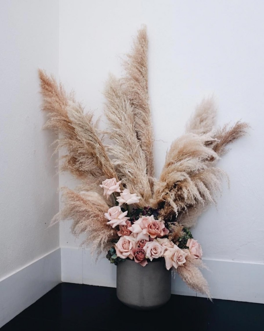 Пампасная трава