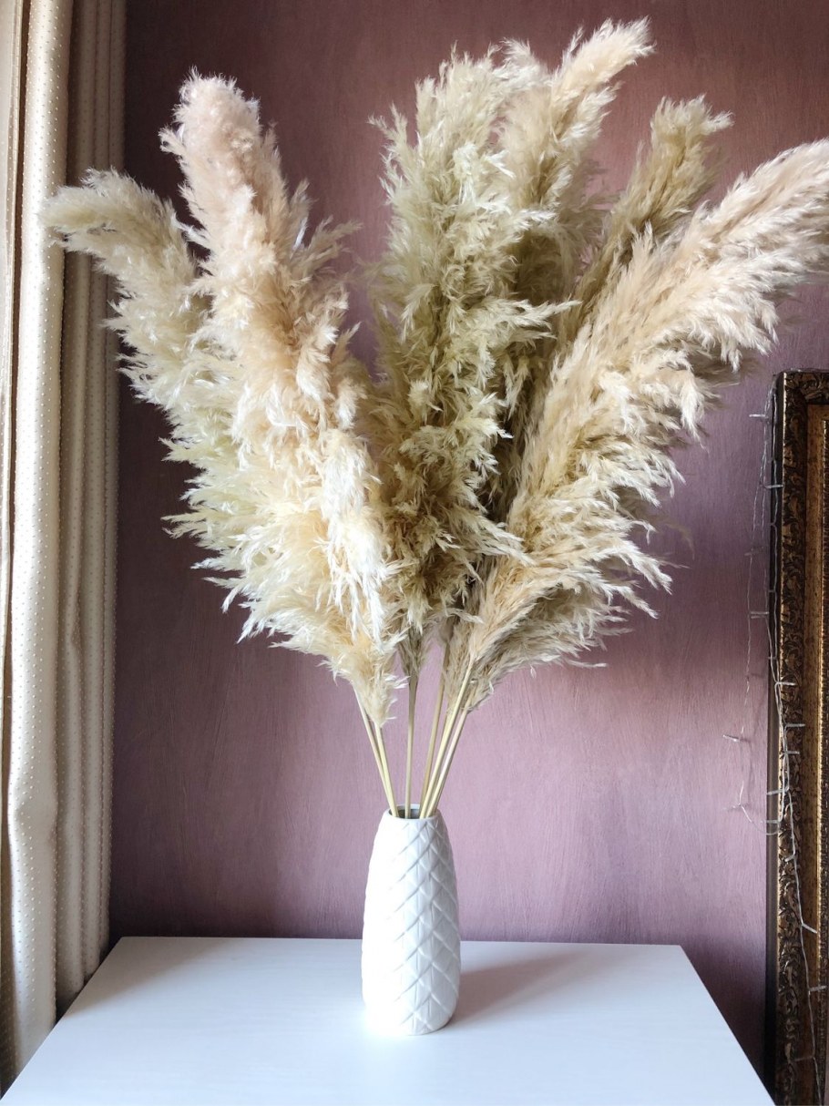 Пампасная трава сушеная