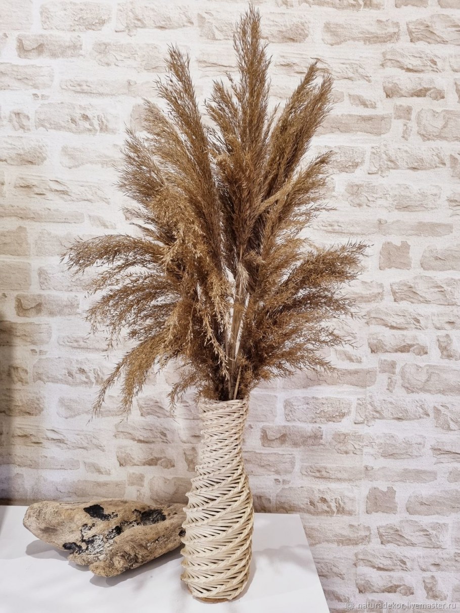 Пампасная трава сухая