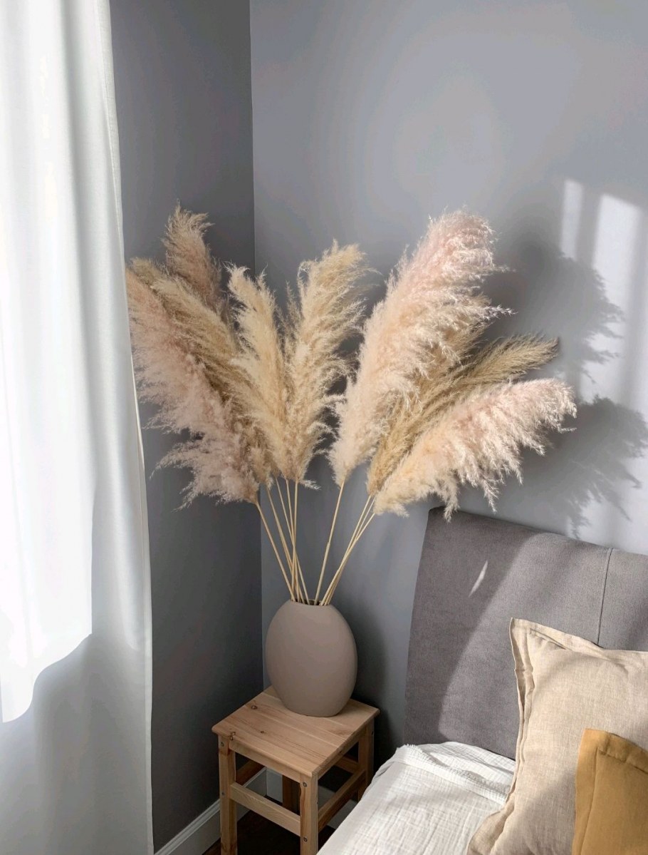 Пампасная трава в гостиной