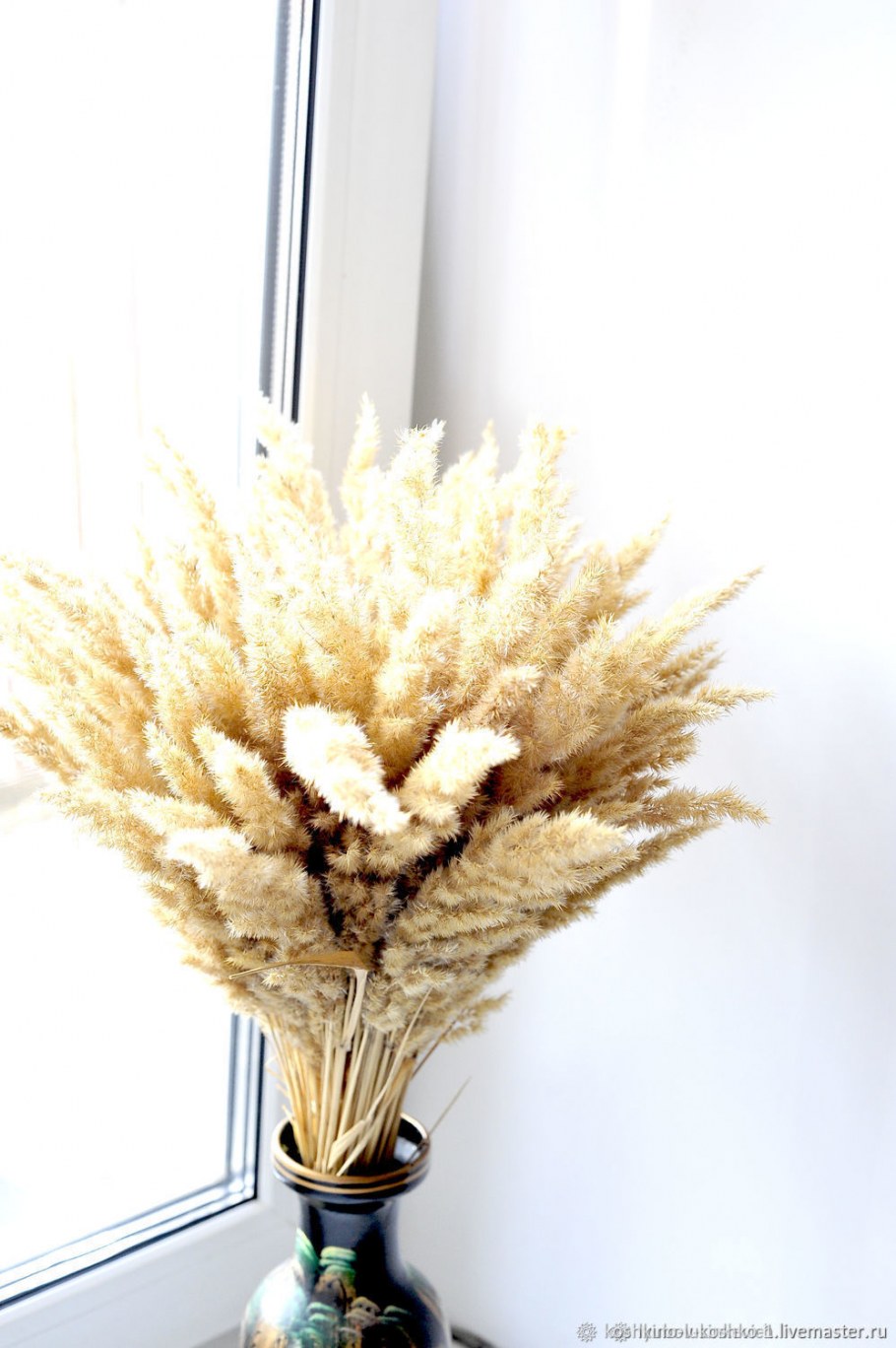 Пампасная трава cухоцвет