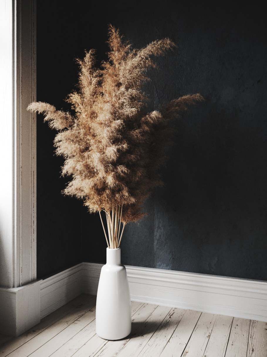 Кортадерия пампасная трава