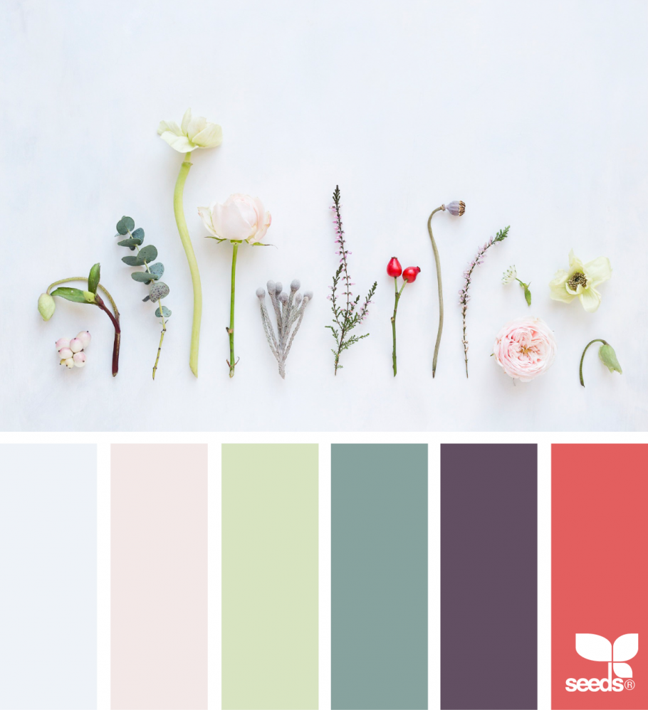 Палетки цветов для дизайнера