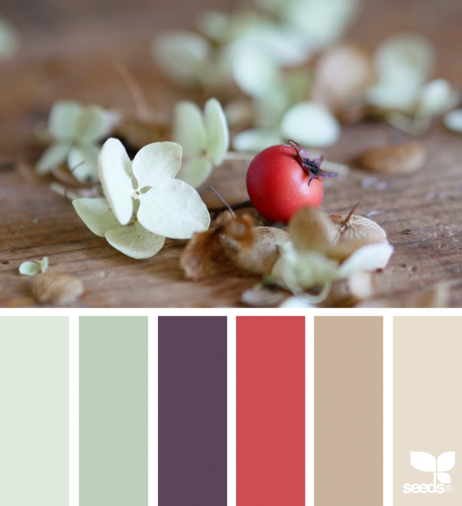 Цветовые сочетания Сеедс