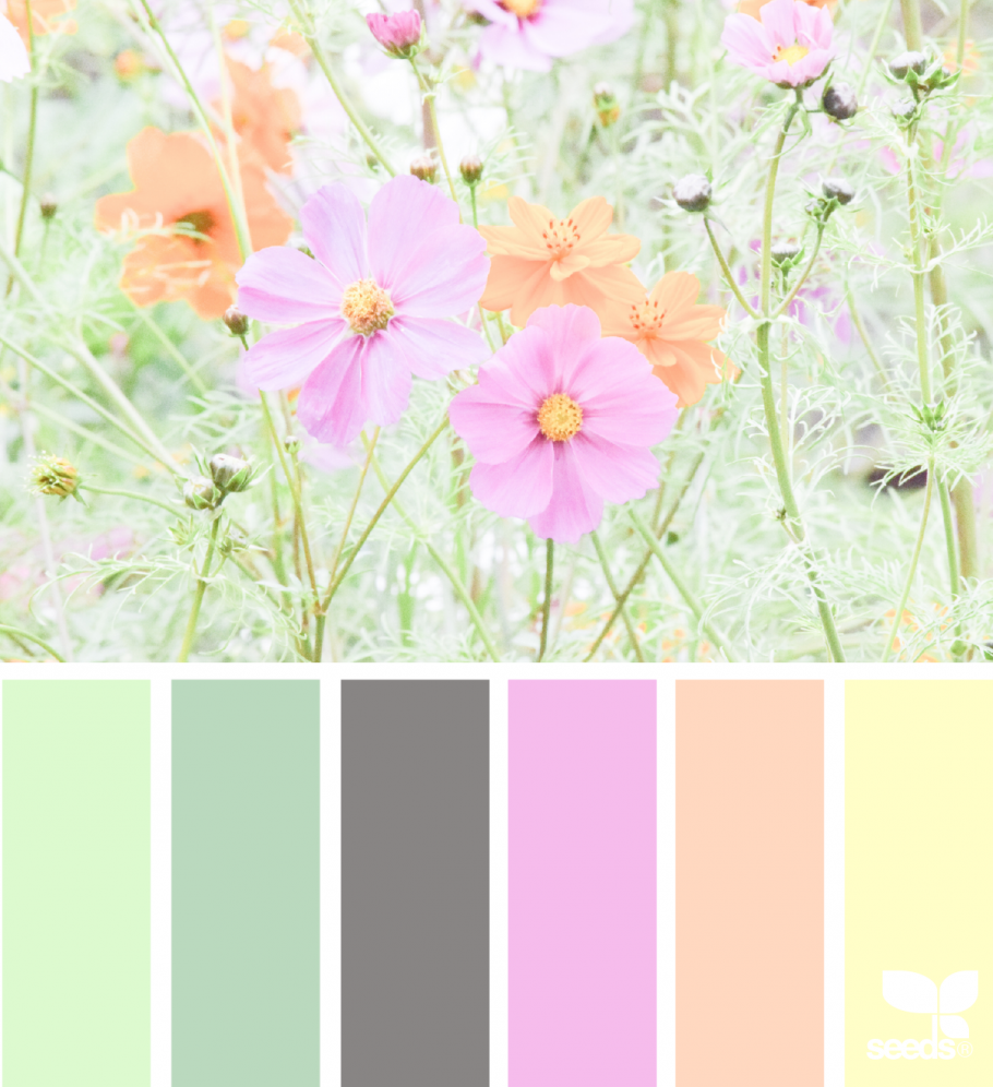 Сочетание пастельных цветов