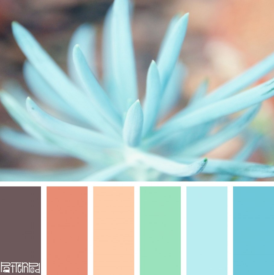 Цветовая палитра пастельных и ярких сочетаний