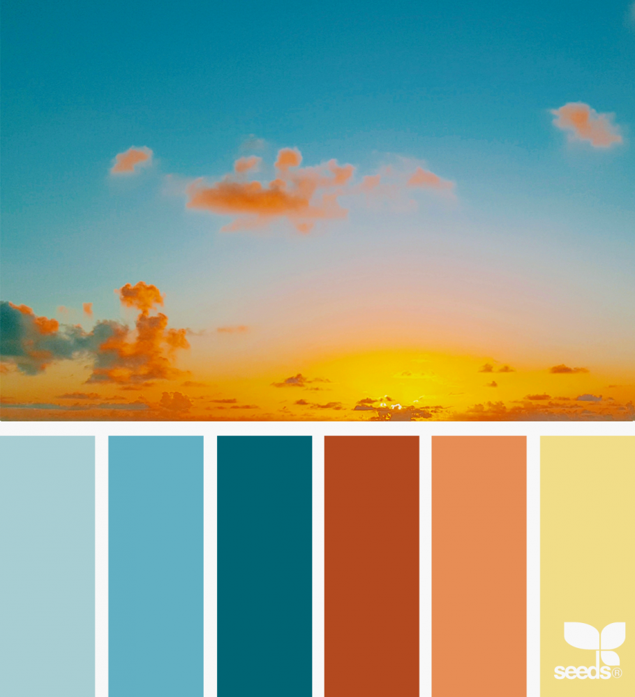 Цветовые Палитры для дизайнеров