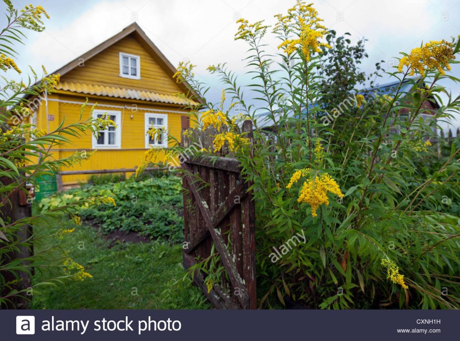 Деревенский дом желтого цвета