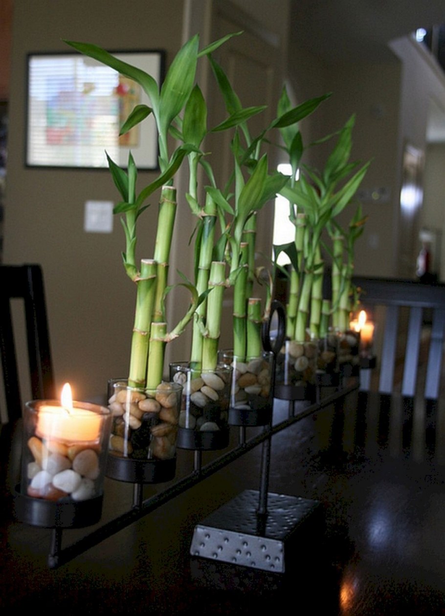 Бамбук для декора