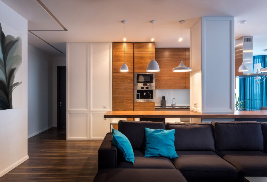 Кухня-гостиная 20 кв.м евродвушка