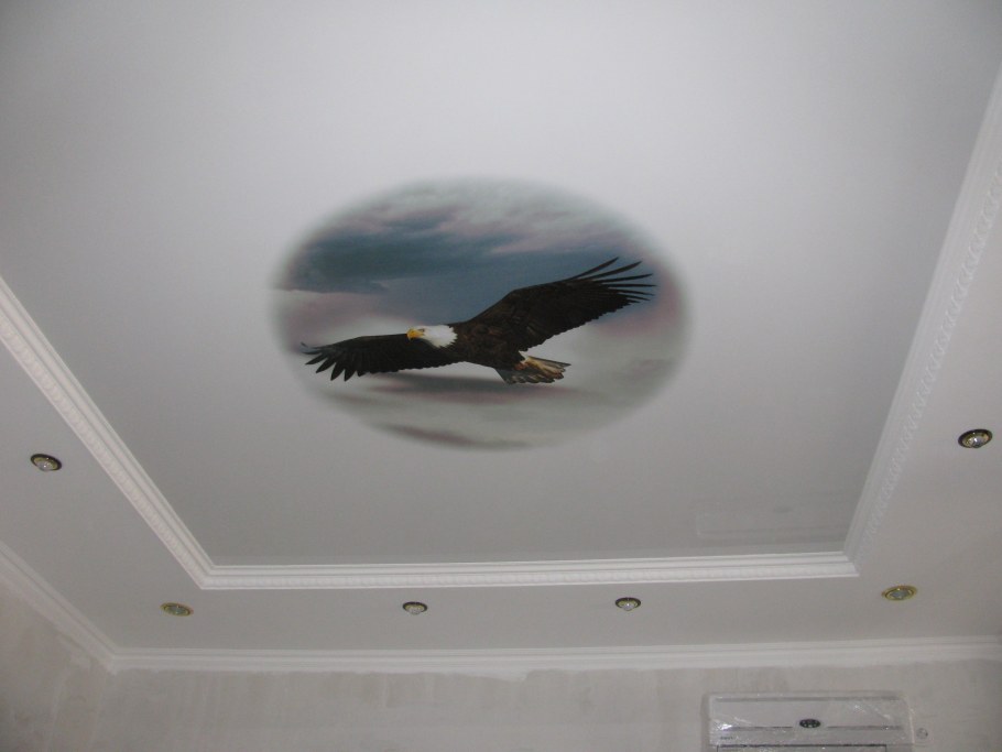 Плафон Paulmann padled System DECOLAYER Flat