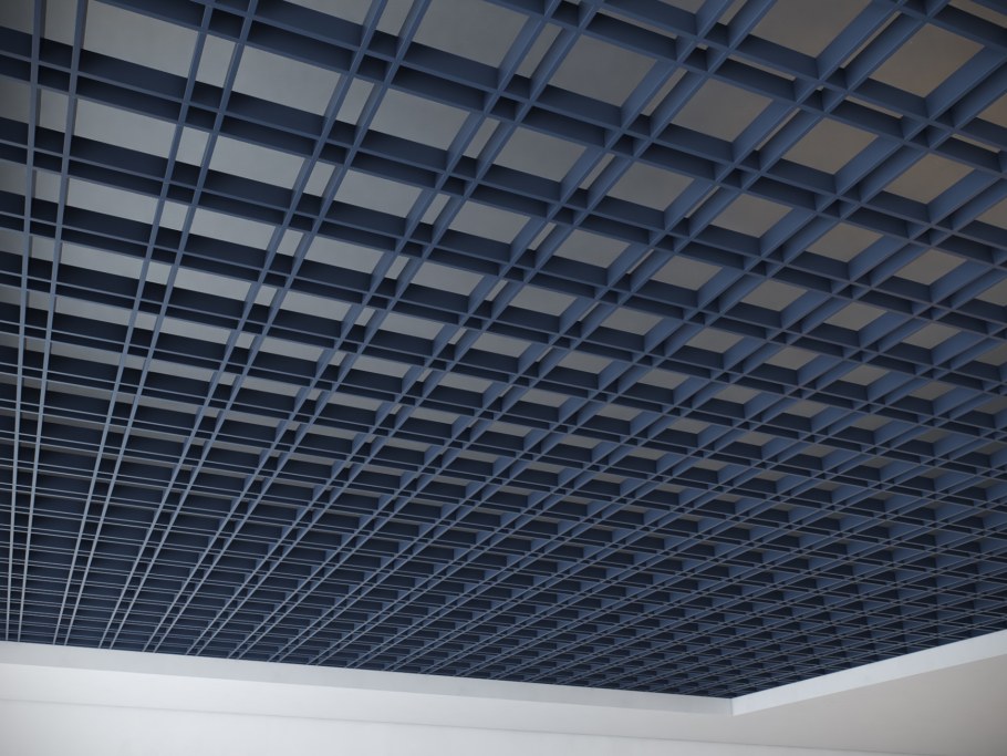 Грильято разноячеистый