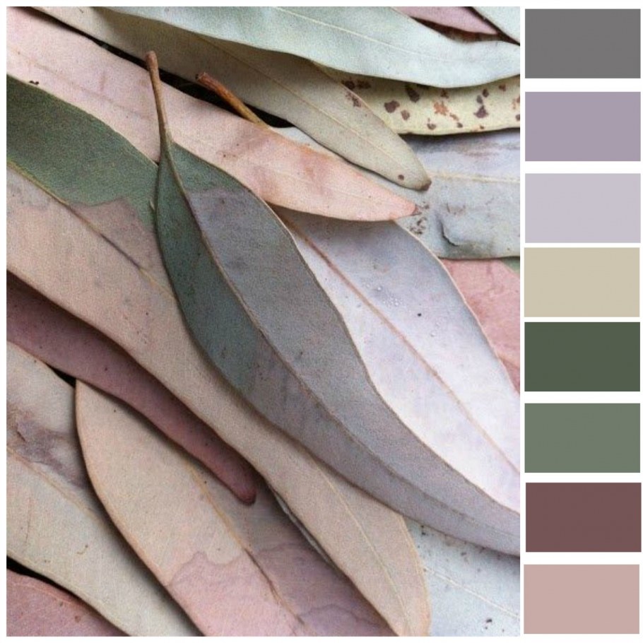 Палитра приглушенных оттенков