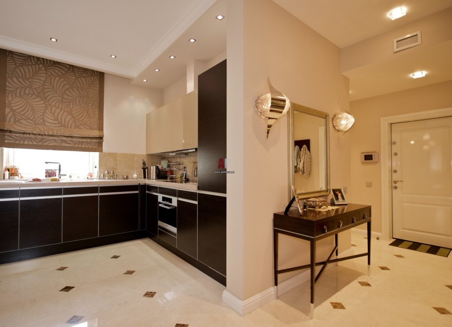 Кухня совмещенная с коридором