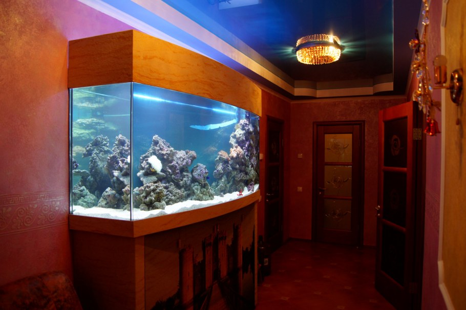 Аквариум в интерьере