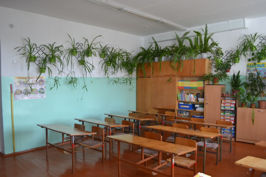 Зеленая зона в классе