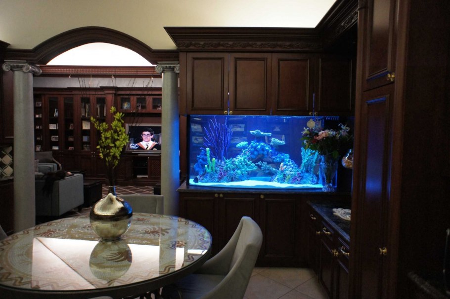 Аквариум в интерьере квартиры