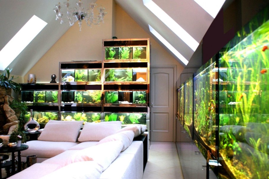 Аквариум в интерьере