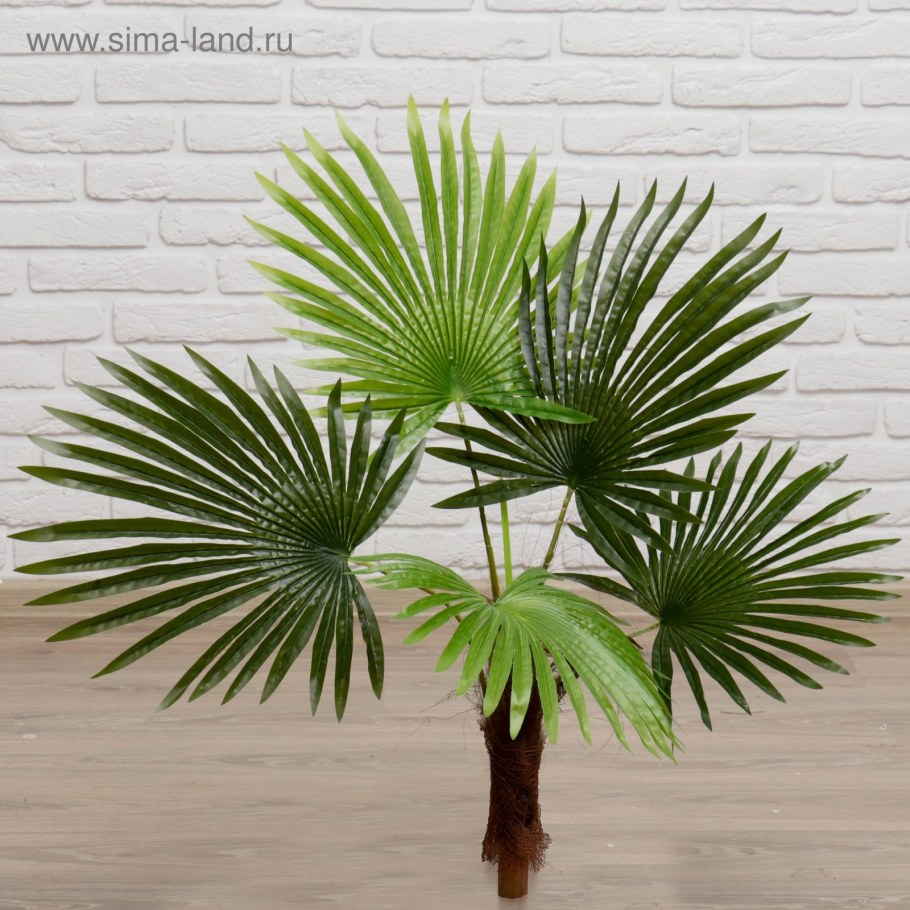 Кашпо Lechuza Рондо