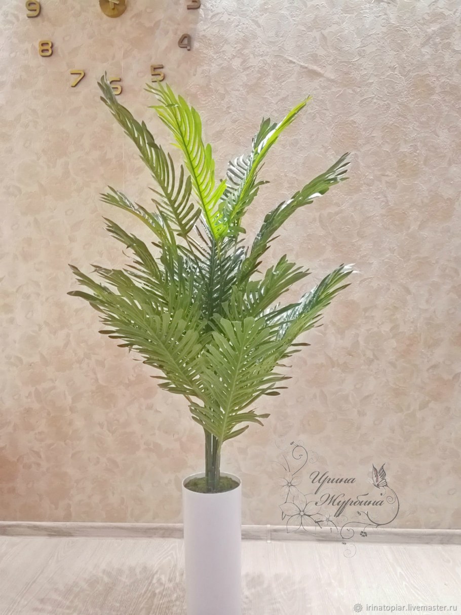 Хризалидокарпус Дипсис