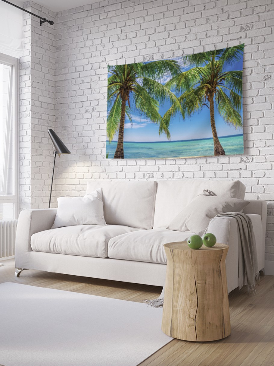 Master Rezco монстера