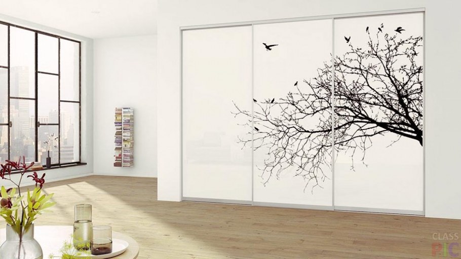 Шкаф купе с фотопечатью