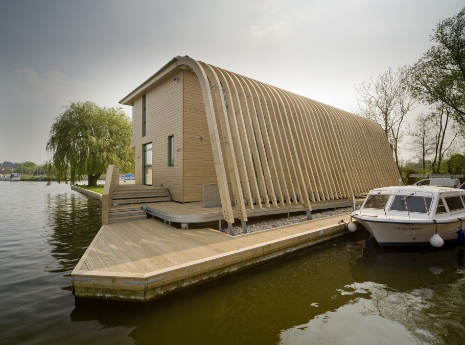 Древесина Accoya