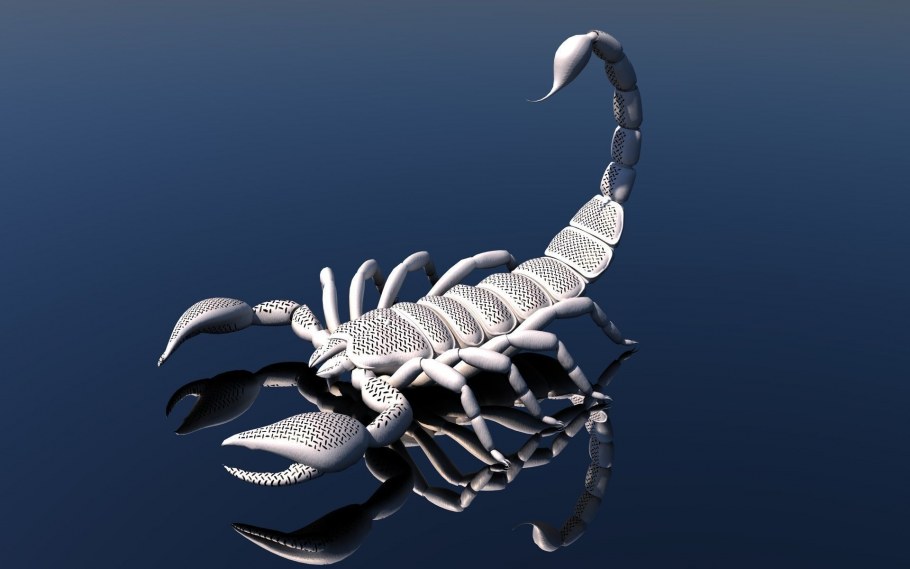 Скорпион красным цветом на белом фоне