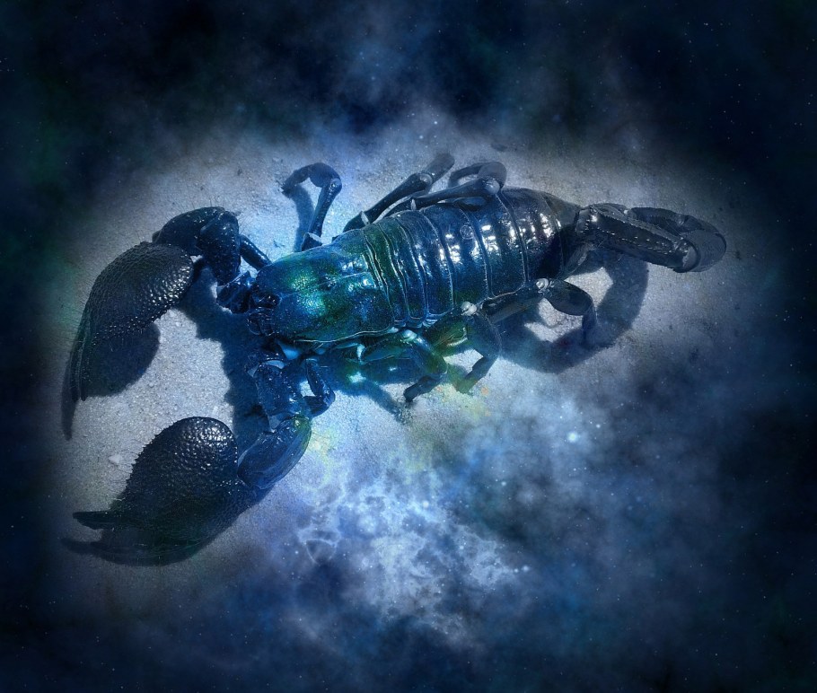 Знаки зодиака водные знаки