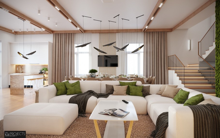 Кухня-гостиная 22м2 эколофт