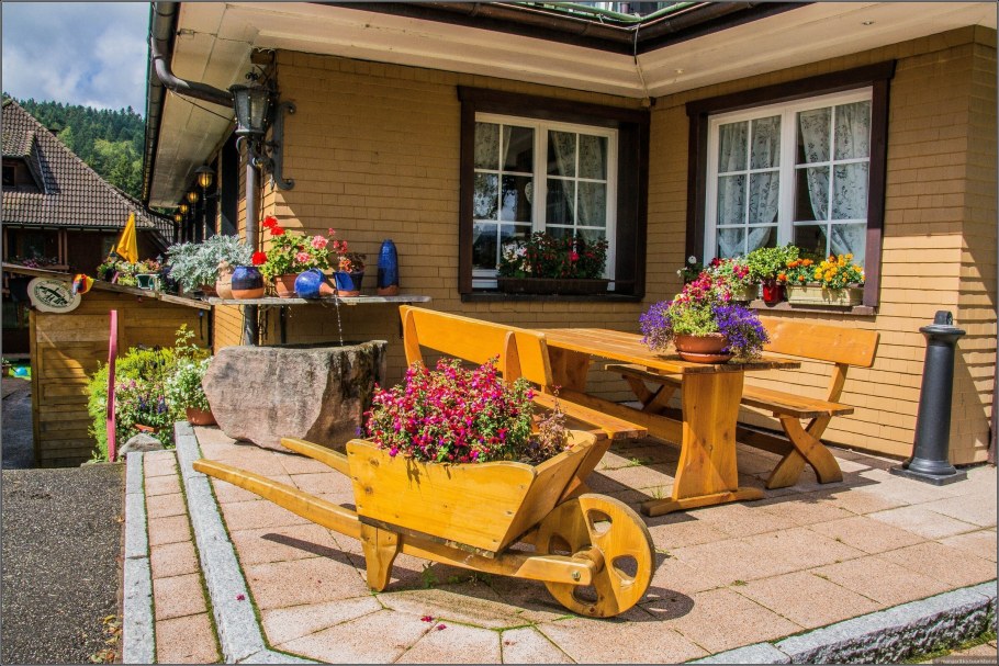 Красивый двор в деревне