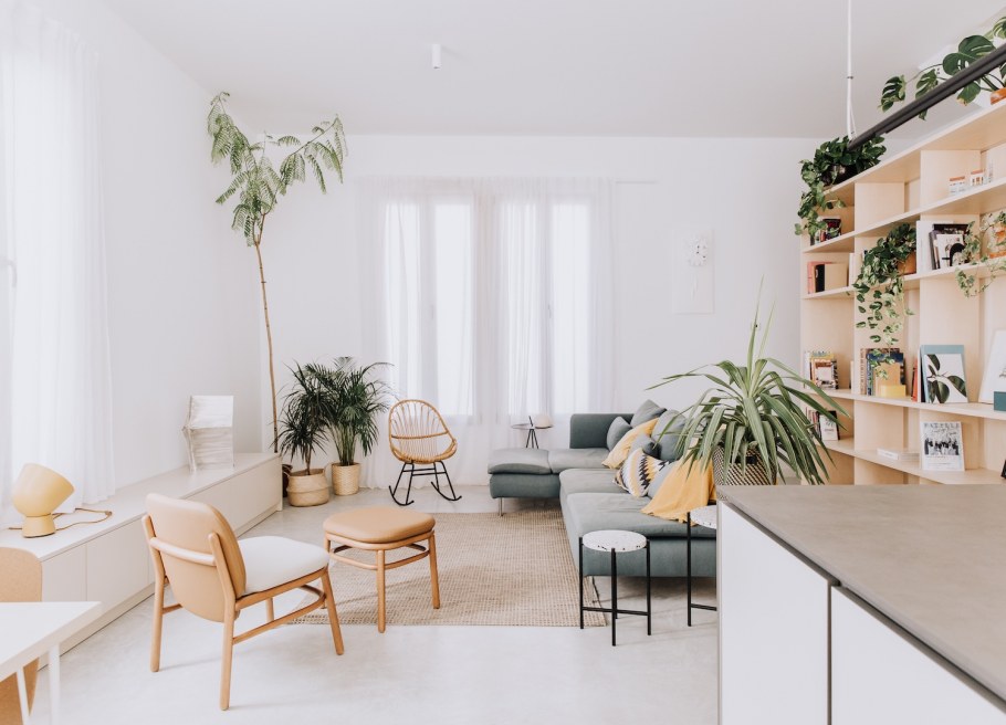 Растения в интерьере Минимализм