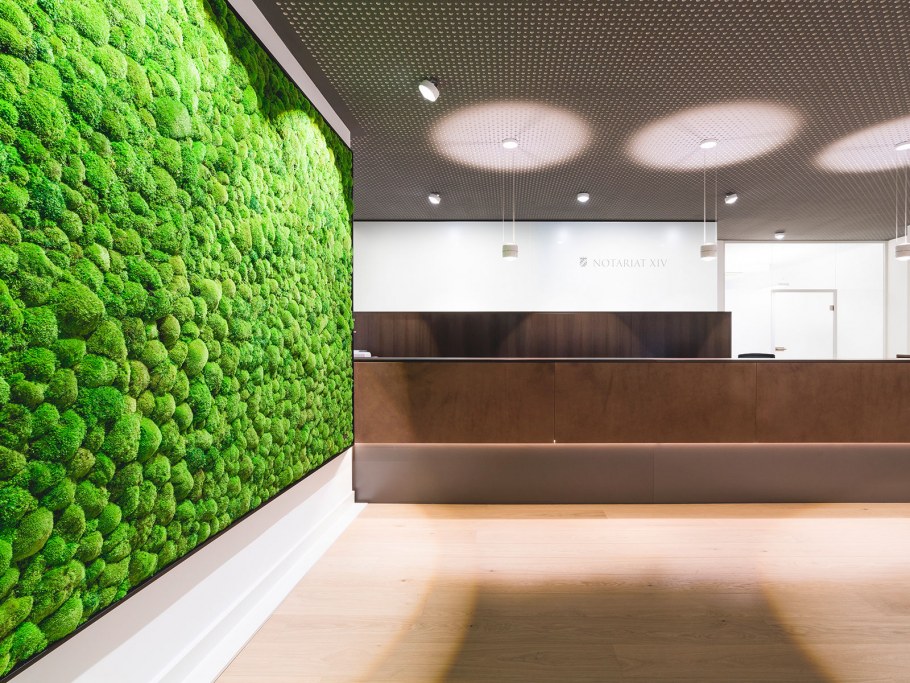 Интерьер магазина в зеленых тонах