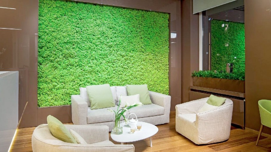 Фитостены из стабилизированного мха