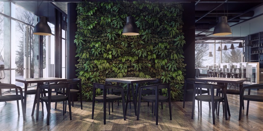 Фитостена в кафе