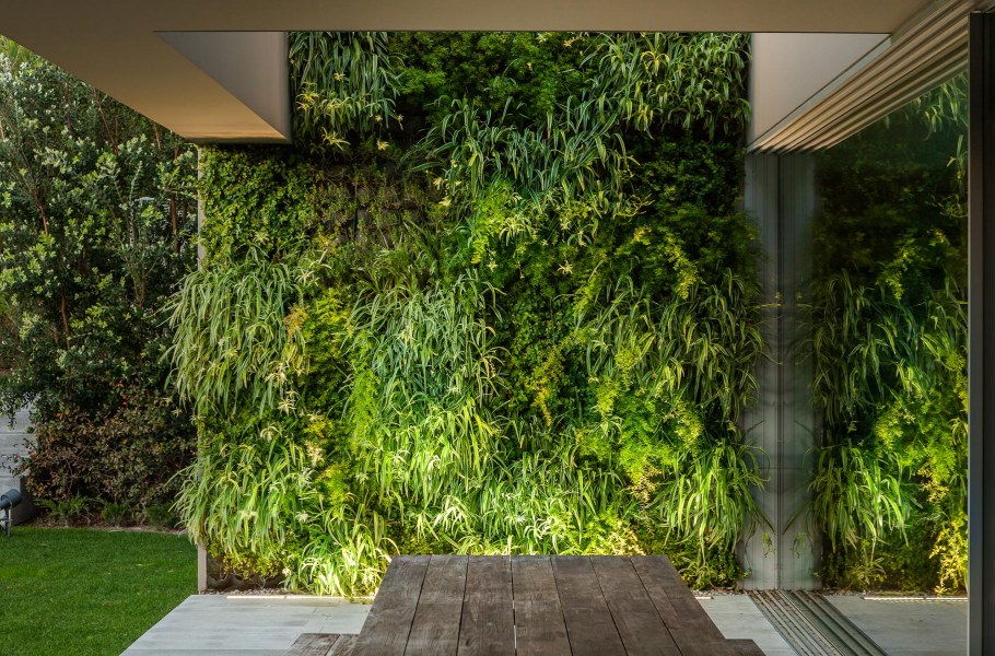 Стена из зелени