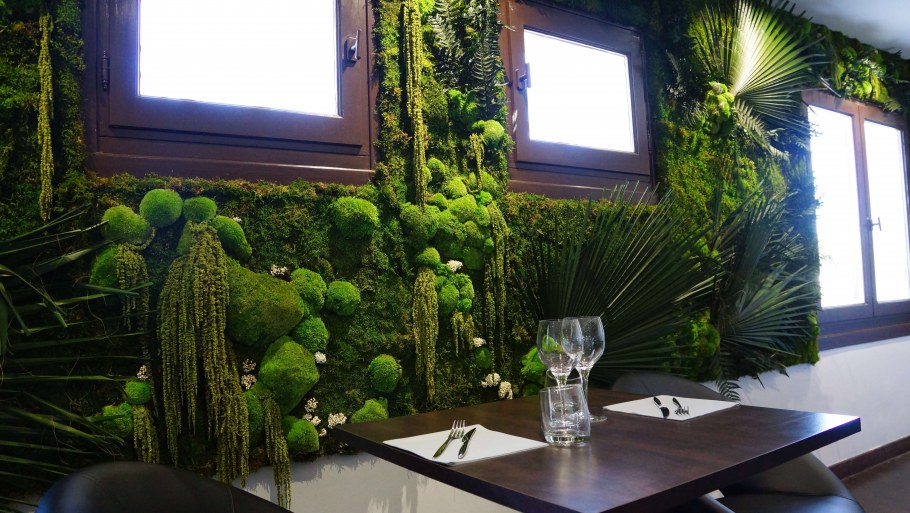 Фитостена из стабилизированного мха и растений