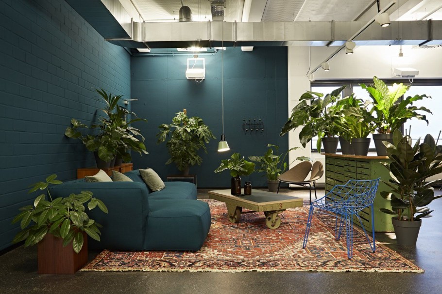 Озеленение офиса готовые решения