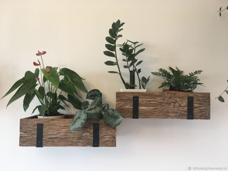 Подвесные комнатные цветы в стиле лофт