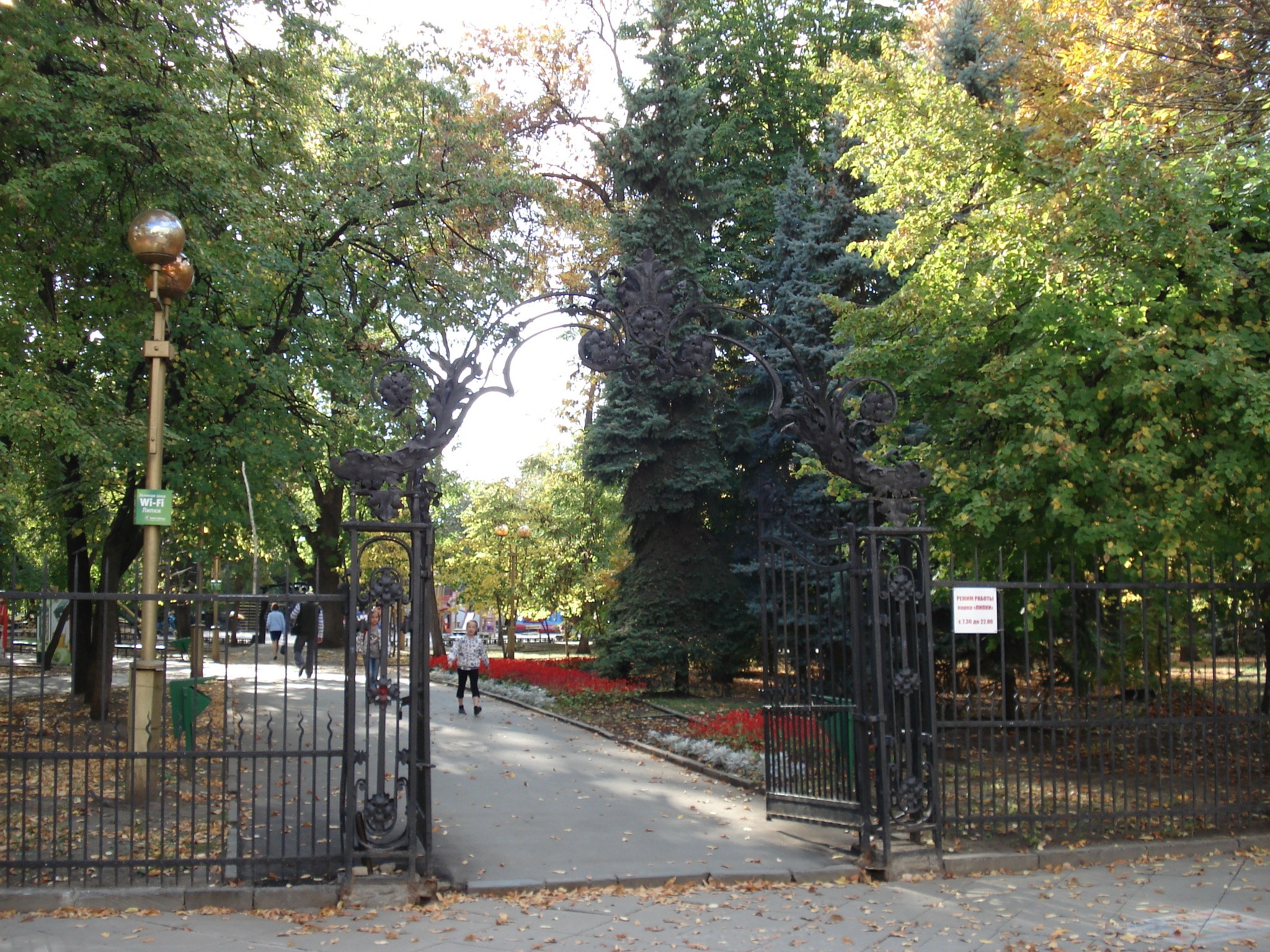 Городской сад Липки Саратов