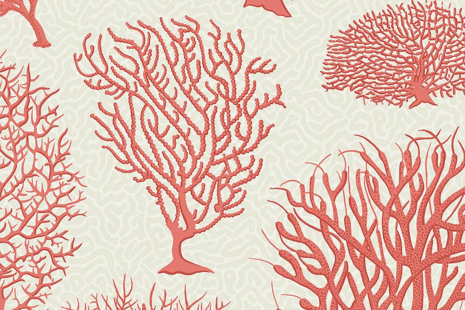 Стилизованные кораллы