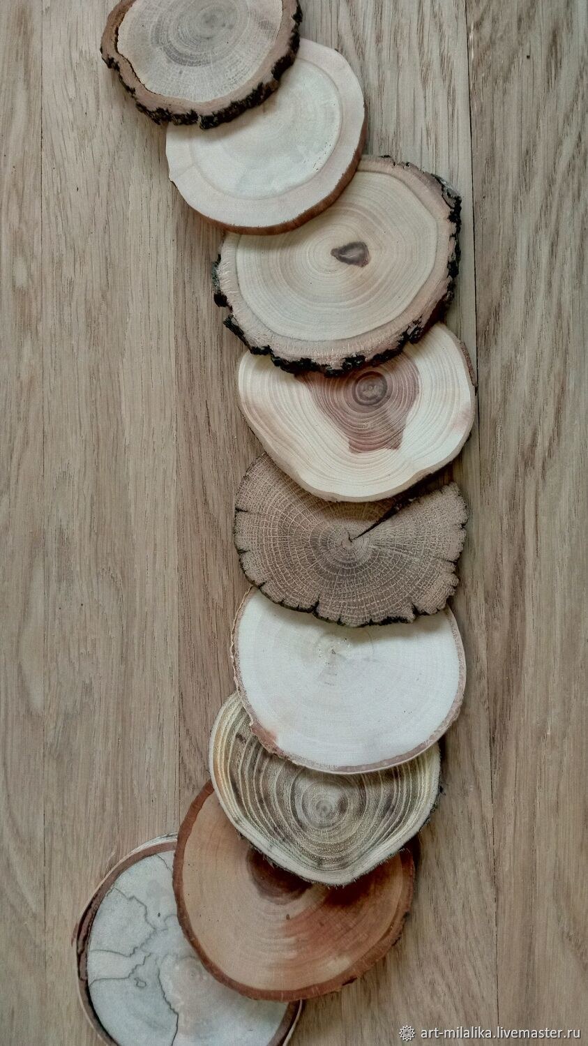 Деревянные спилы в интерьере