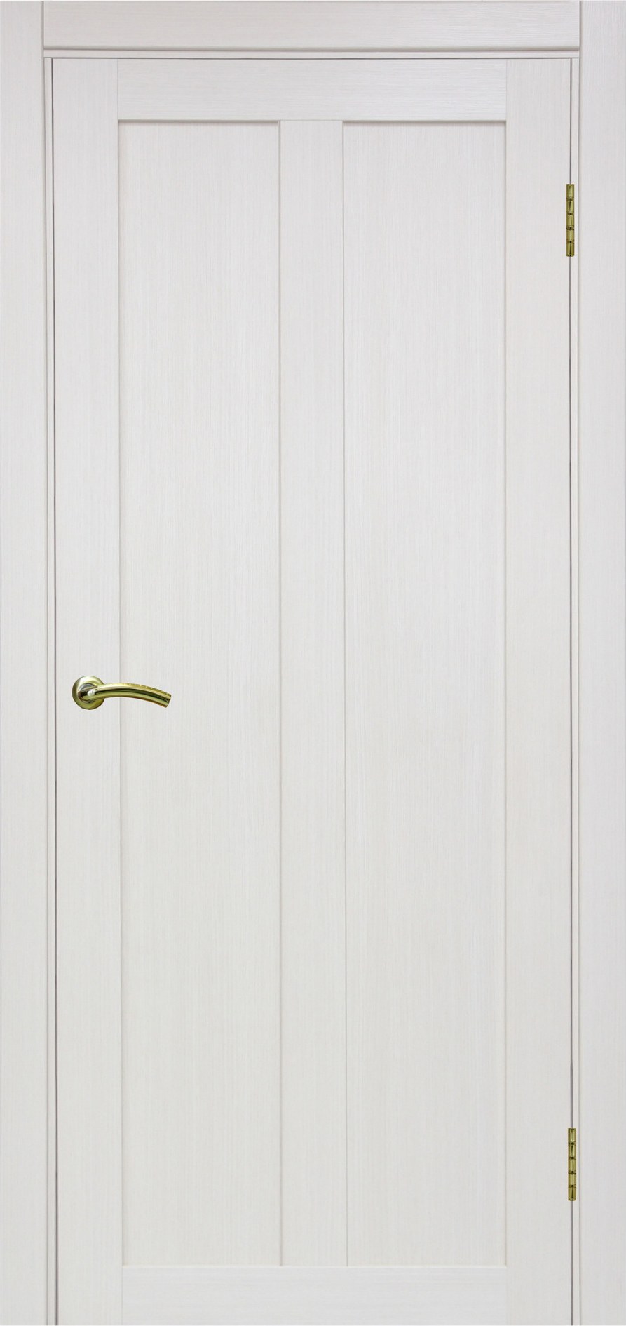 Дверь Турин 541