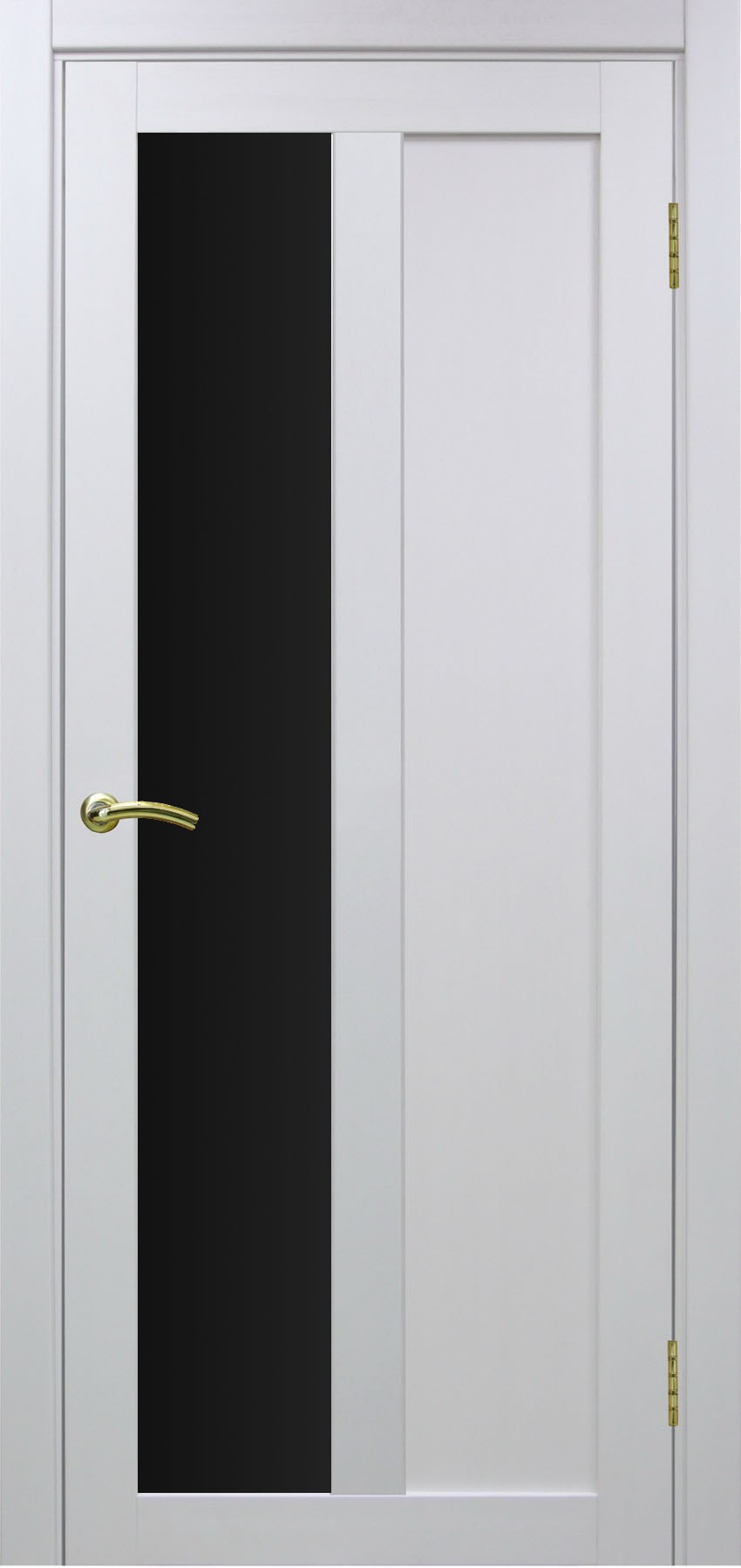 Дверь Турин 502