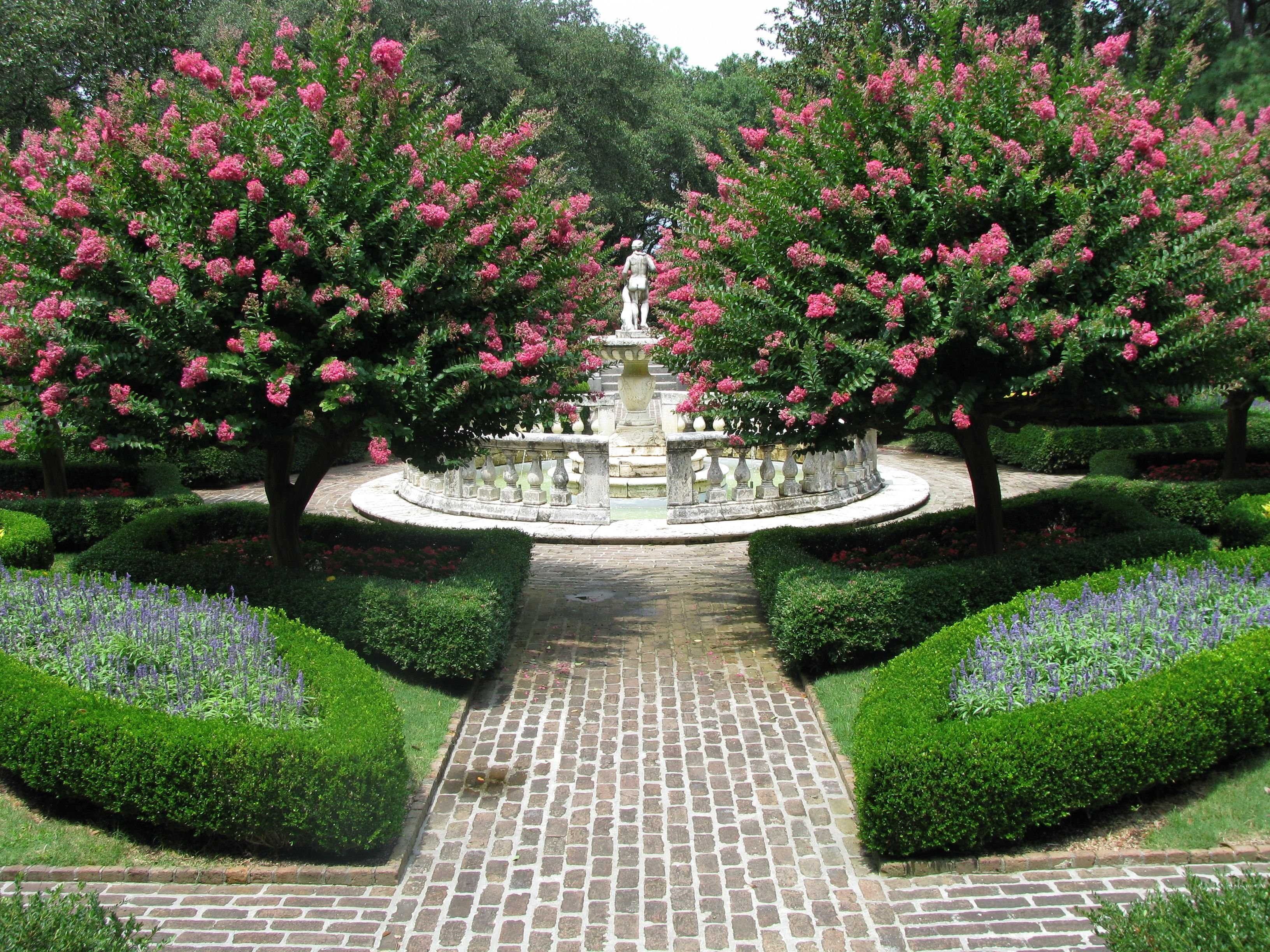 Красивые деревья на участке. Парк древнего Рима цветники фонтаны. Розарий партер. Сады Израиля ландшафтный сад стиль. Солитер ландшафтный архитектура цветы.