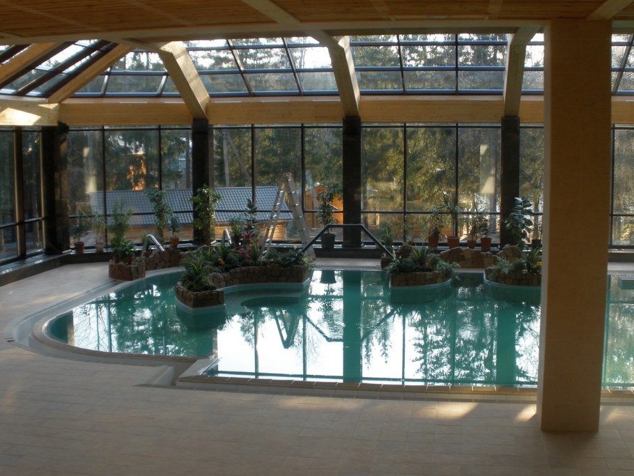 Бассейн с панорамными окнами